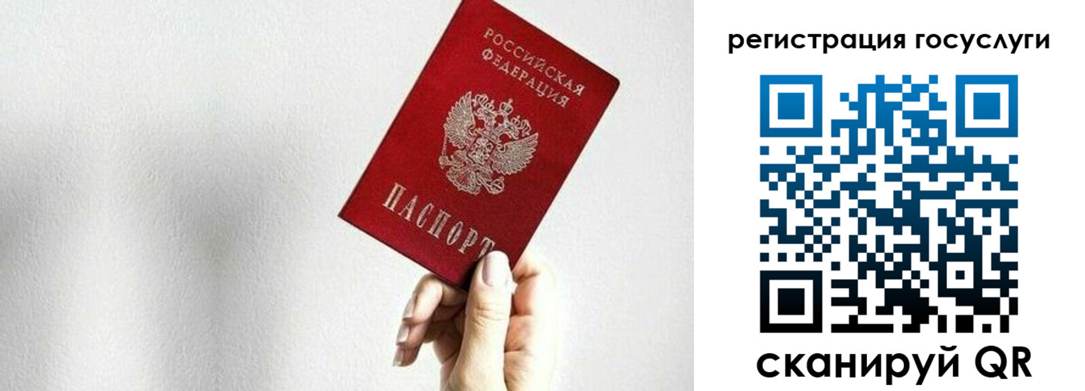 прописка гарантия в Пензенской области
